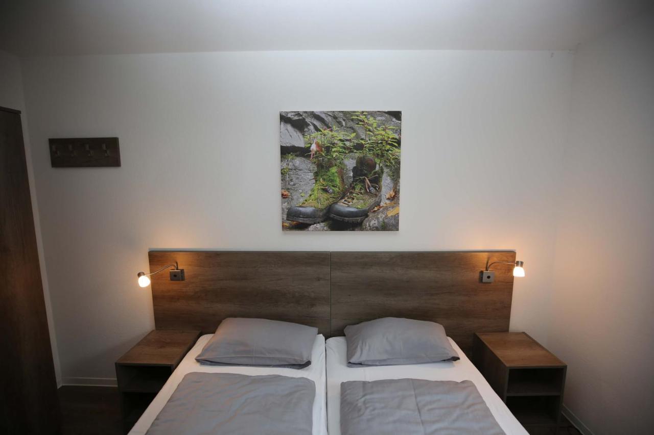Apartment Ferienwohnung Bergwiese Winterberg